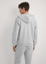 Szara bluza męska z kapturem BLZMT-0079-9A(W26), widok produktu z tyłu na modelu. Widoczna połowa sylwetki.