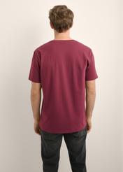 Bordowy T-shirt męski TSHMT-0120-4D(Z26), widok produktu od tyłu na modelu. Widoczna połowa sylwetki.