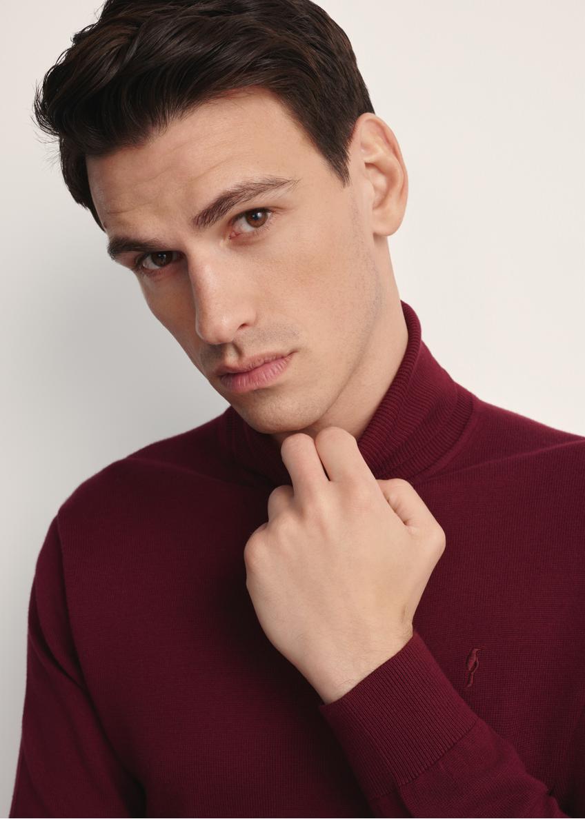 Bordowy sweter męski z golfem SWEMT-0095B-49(Z25)